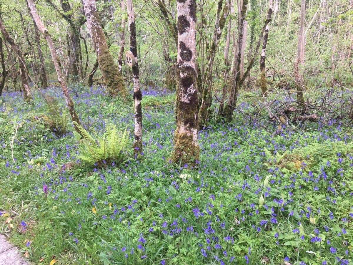 Radharc Na Cuilcagh Bed & Breakfast Enniskillen Eksteriør bilde